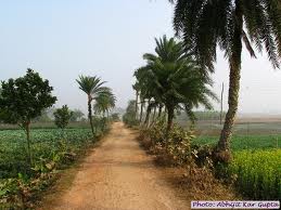 স্থানীয় সরকার