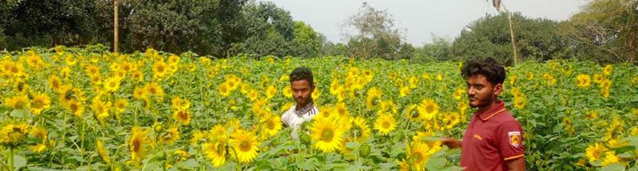 আন্দলন-2024