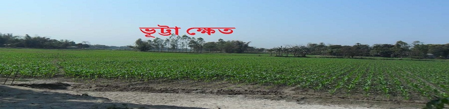 বালাপাড়া ইউনিয়ন এর কৃষি