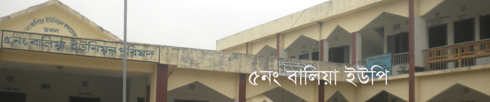 ৫নং বালিয়া ইউপি