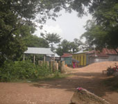 বিবিধ