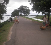 প্রকৌশল