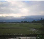 কৃষি ও প্রাণিসম্পদ