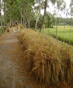 ভূমি অফিস
