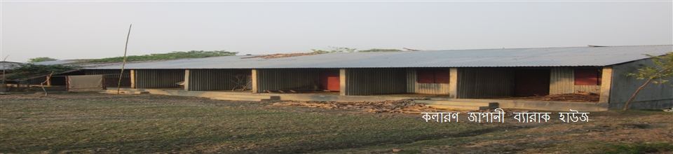 কলারণ জাপানী ব্যারাক হাউজ