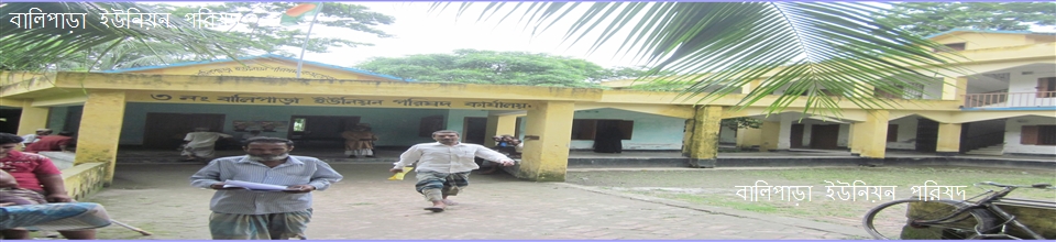 বালিপাড়া ইউনিয়ন পরিষদ