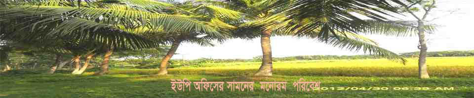 বালিথুবা পূর্ব ইউনিয়ন