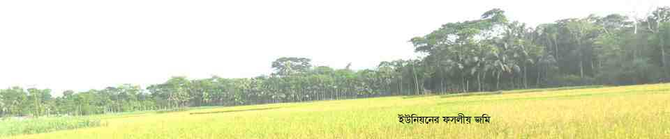 ২নং বালিথুবা(পূর্ব) ইউ.পি