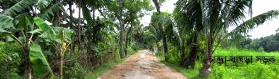 চান্দ্রা-বাঘড়া সড়ক