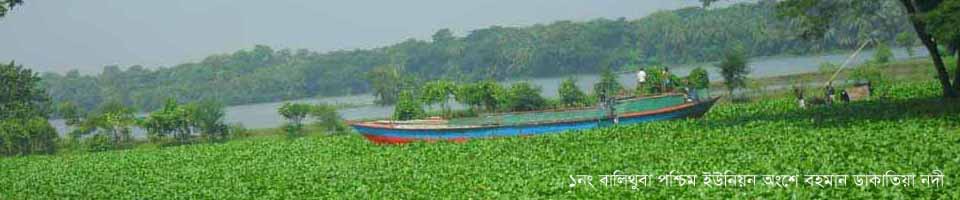 ডাকাতিয়া নদী