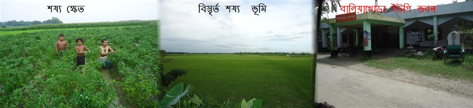 প্রাকৃতিক দৃশ্য