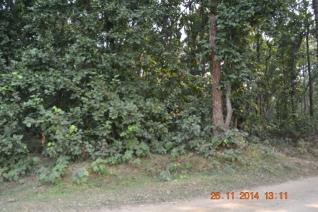 মোছাঃ মোসলেমা বেগম