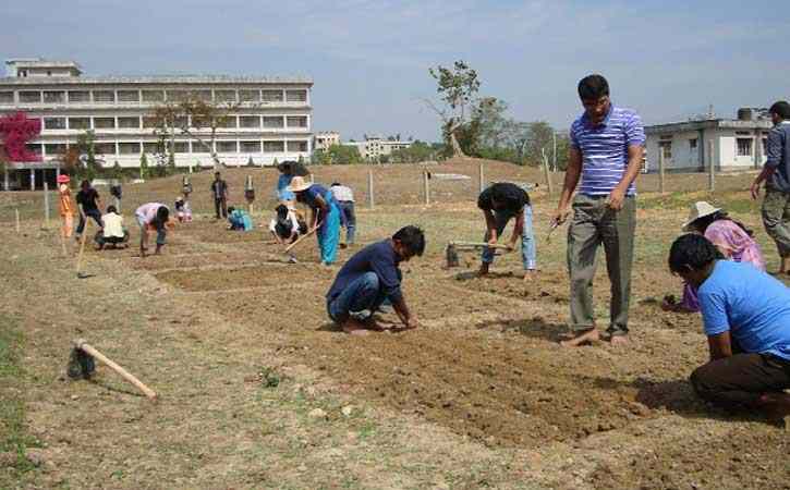 স্থানীয় সরকার প্রকৌশল