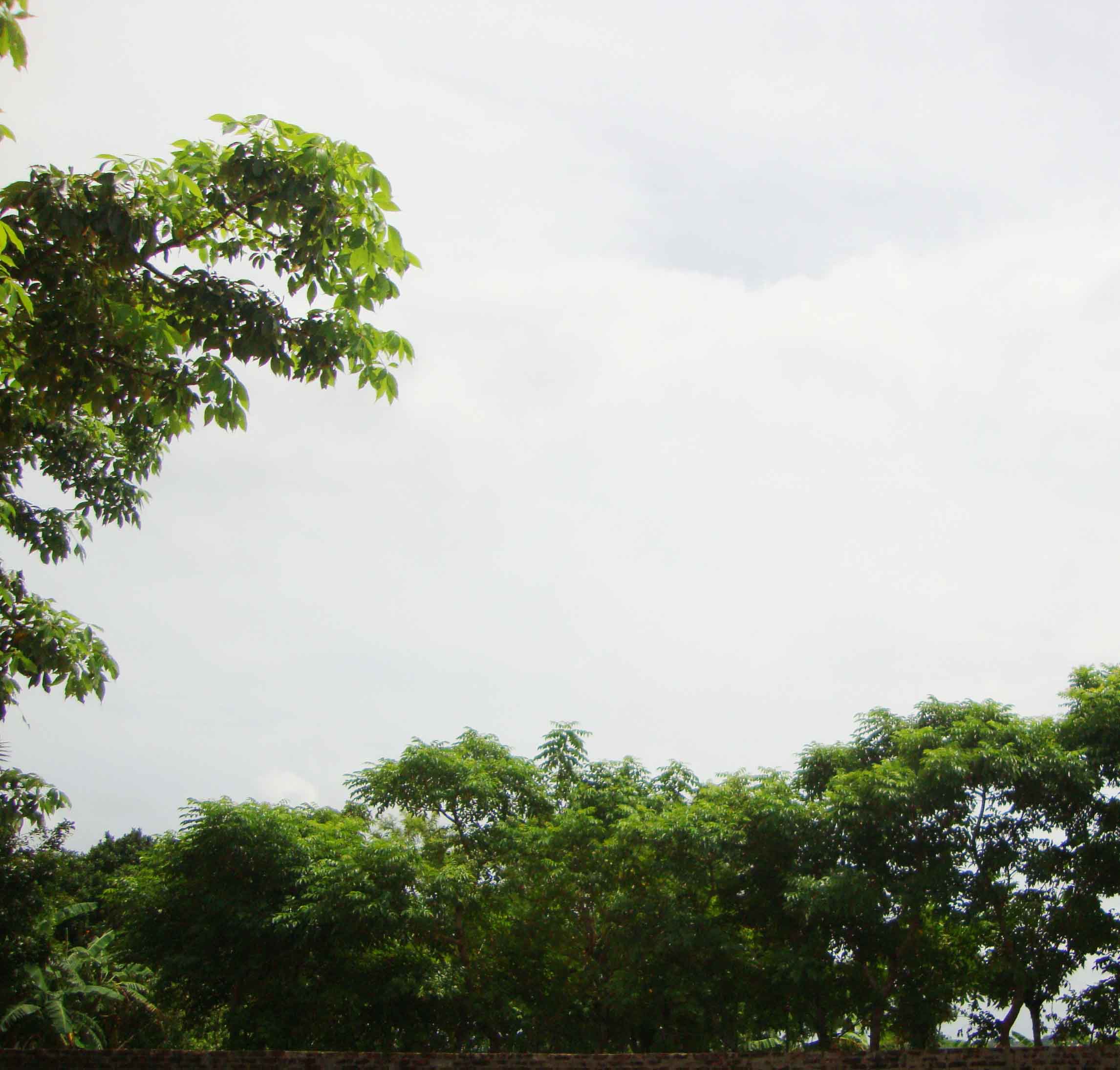 বিবিধ