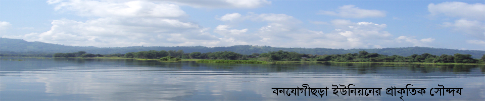 বনযোগীছড়া ইউনিয়ন