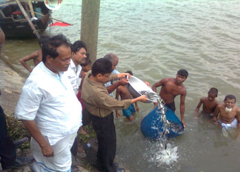 ফটো গ্যালারী