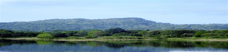 পাহাড় এলাকা