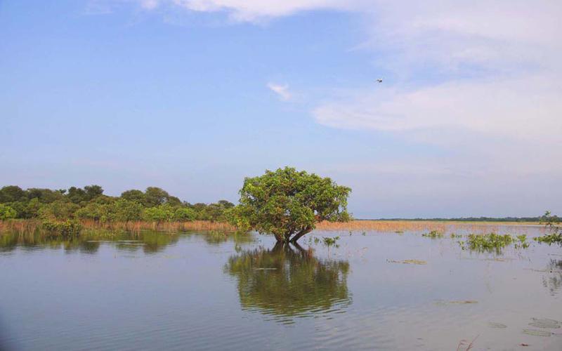 বর্ষা মৌসুসে বন্দুক ভাঙ্গা ইউনিয়ন