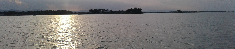 ব্যানার