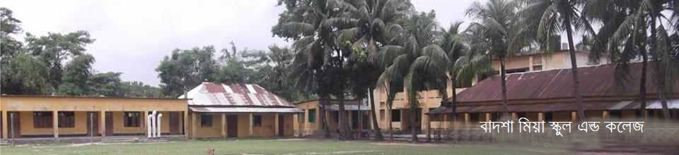 বাঙ্গড্ডা বাদশা মিয়া স্কুল এন্ড কলেজ