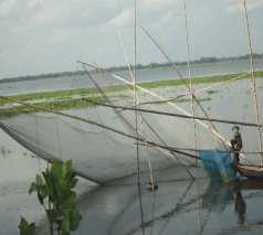 কৃষি ও প্রাণি সম্পদ