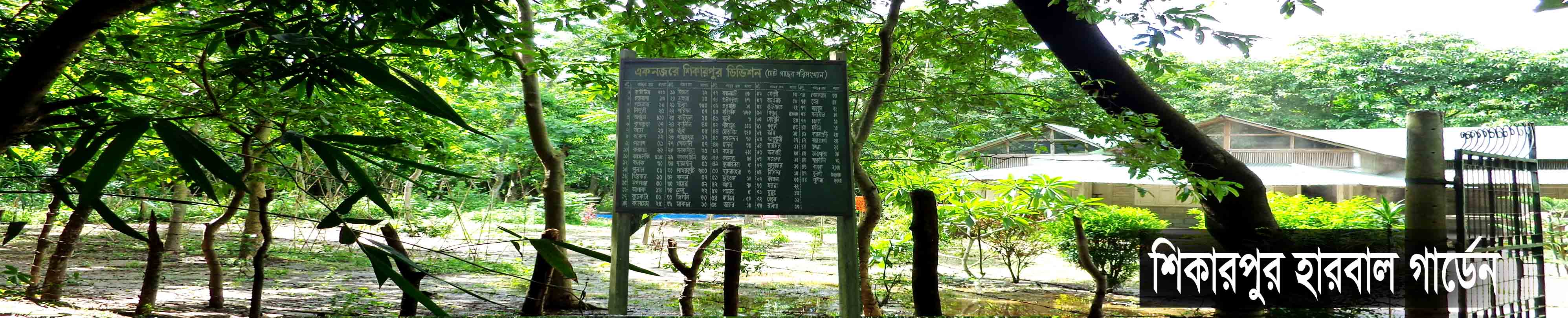 শিকারপুর হারবাল গার্ডেন