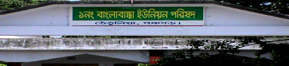 ১নং বাংলাবান্ধা ইউপির গেট
