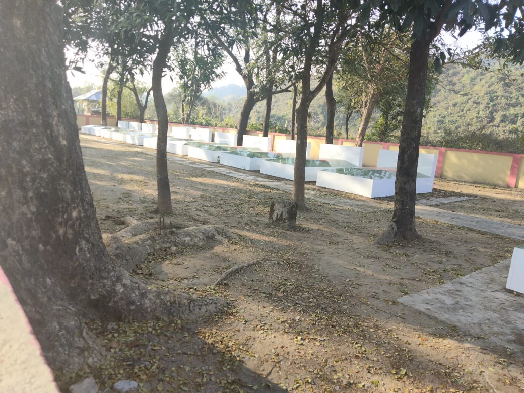 ১৯৭১ সালে যাহারা শহীদ হয়েছেন তাহাদের সমাধী এর চিত্র