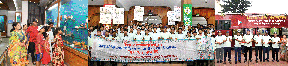 ব্যানার-১১