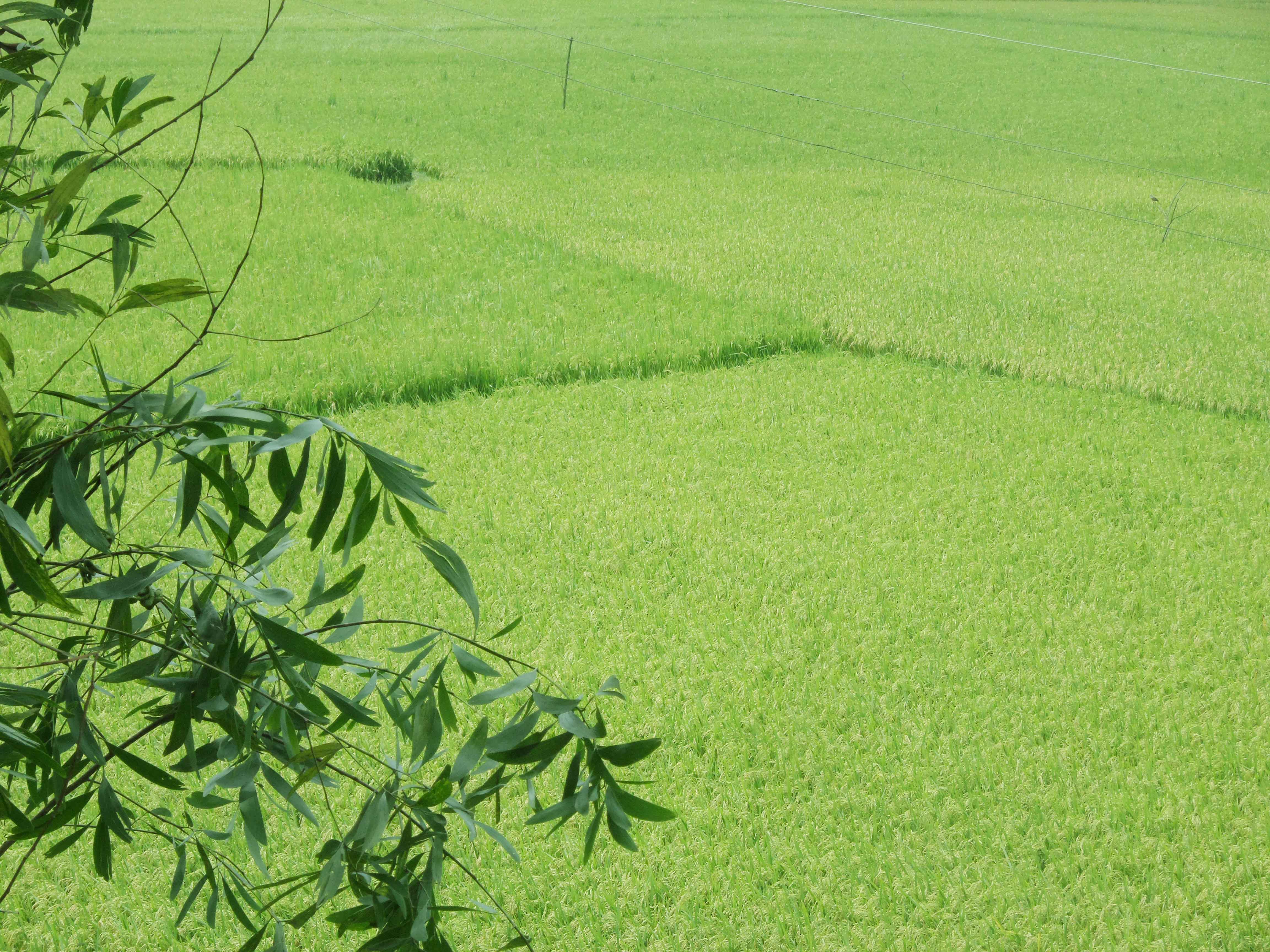 বিবিধ