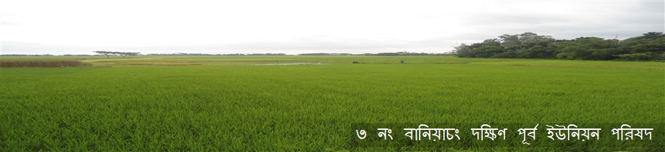 ৩ নং বানিয়াচং দক্ষিণ পূর্ব ইউনিয়ন পরিষদ