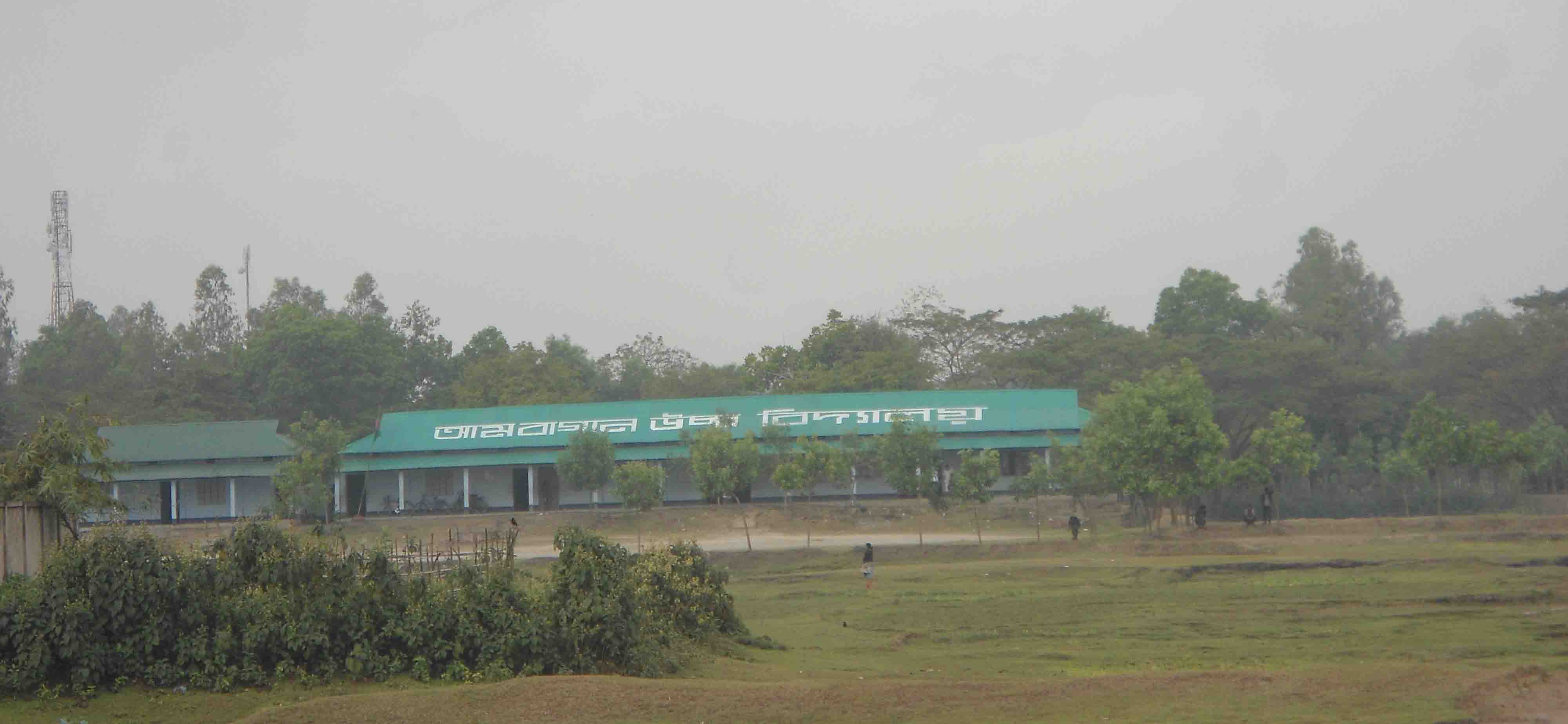 শিক্ষা-সেবা