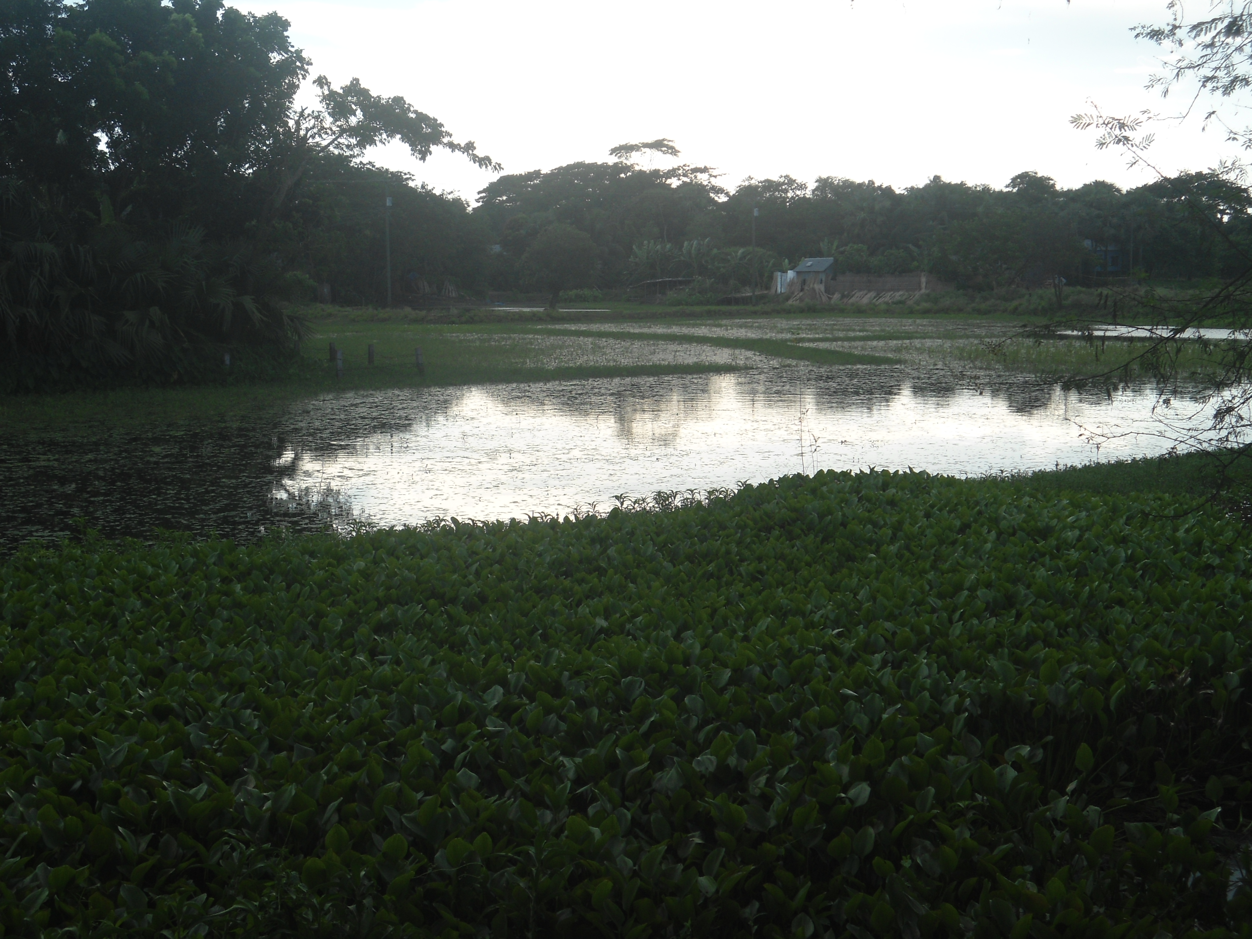 ফটো গ্যালারী