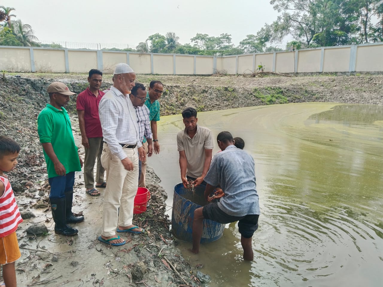 আরডিএ, গোপালগঞ্জের নার্সারী পুকুরে মহাপরিচালক মহোদয় কর্তৃক চিংড়ি মাছের পোনা অবমুক্তকরণ।