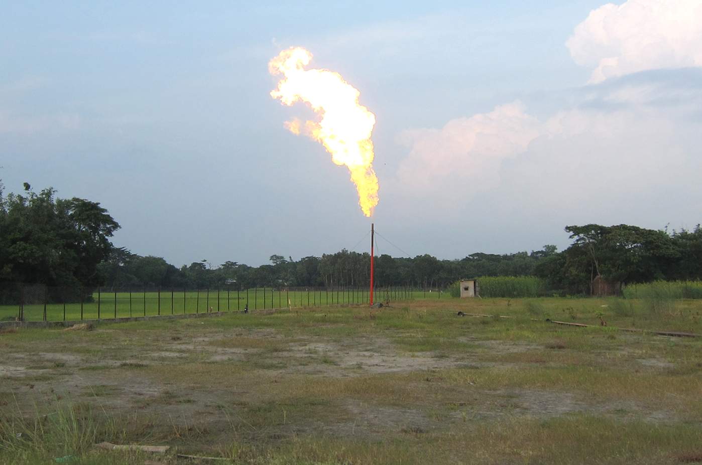 খনন কার্যক্রম