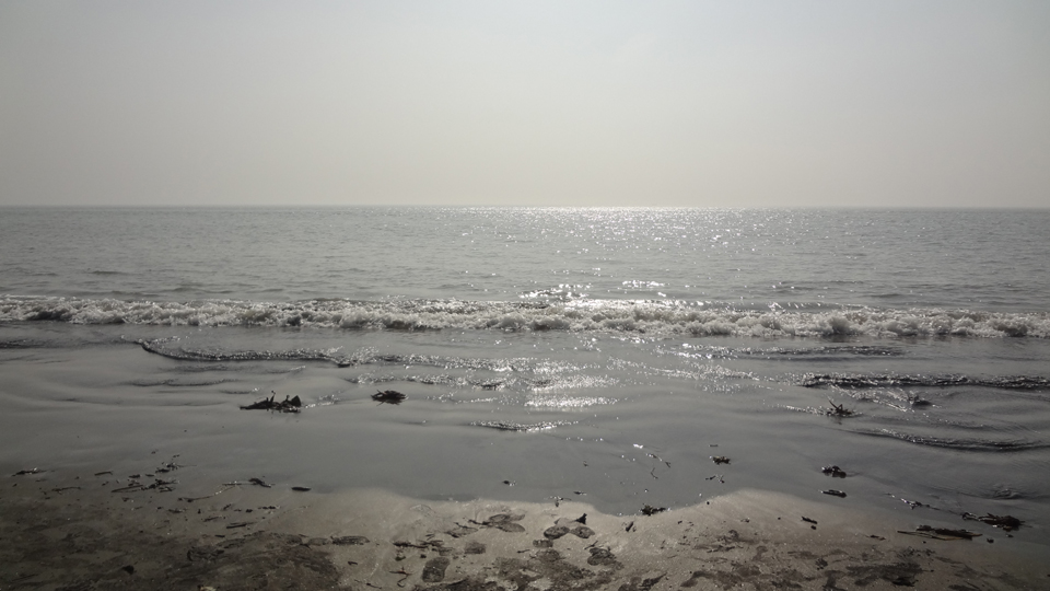 প্রাকৃতিক মনোরম