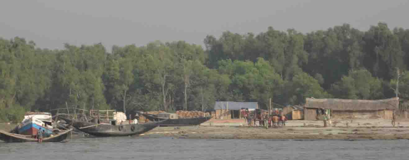 তালতলী সোনারচর