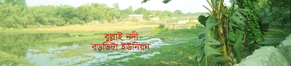 বড়ভিটা ইউনিয়নের বুল্লাই নদী