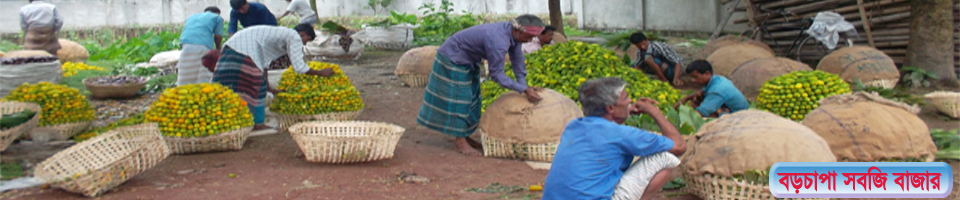 বড়চাপা সবজি বাজার