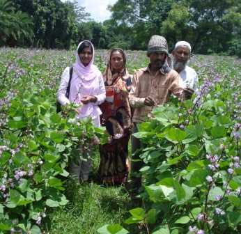 কৃষি, মৎস্য ও প্রাণী-সেবা