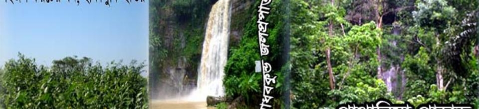 ব্যানার