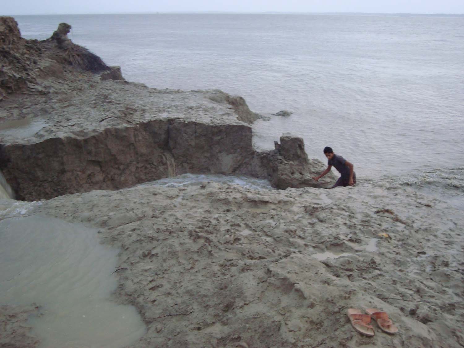 ফটোগ্যালারী