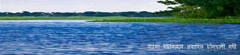 বরমা ইউনিয়নে প্রবাহিত চাঁনখালী নদী