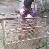 মাছ ধরার রামানী