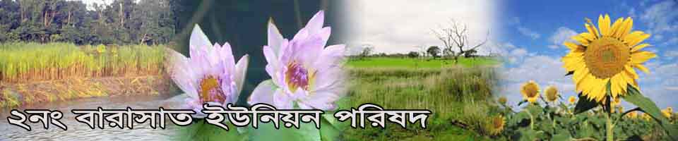 বারাসাত ইউপি