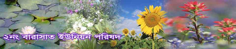 বারাসাত ইউপি