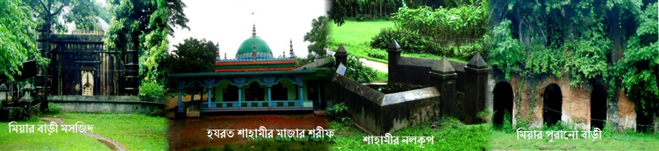 শাহামীর মাজার ও মিয়ার বাড়ী