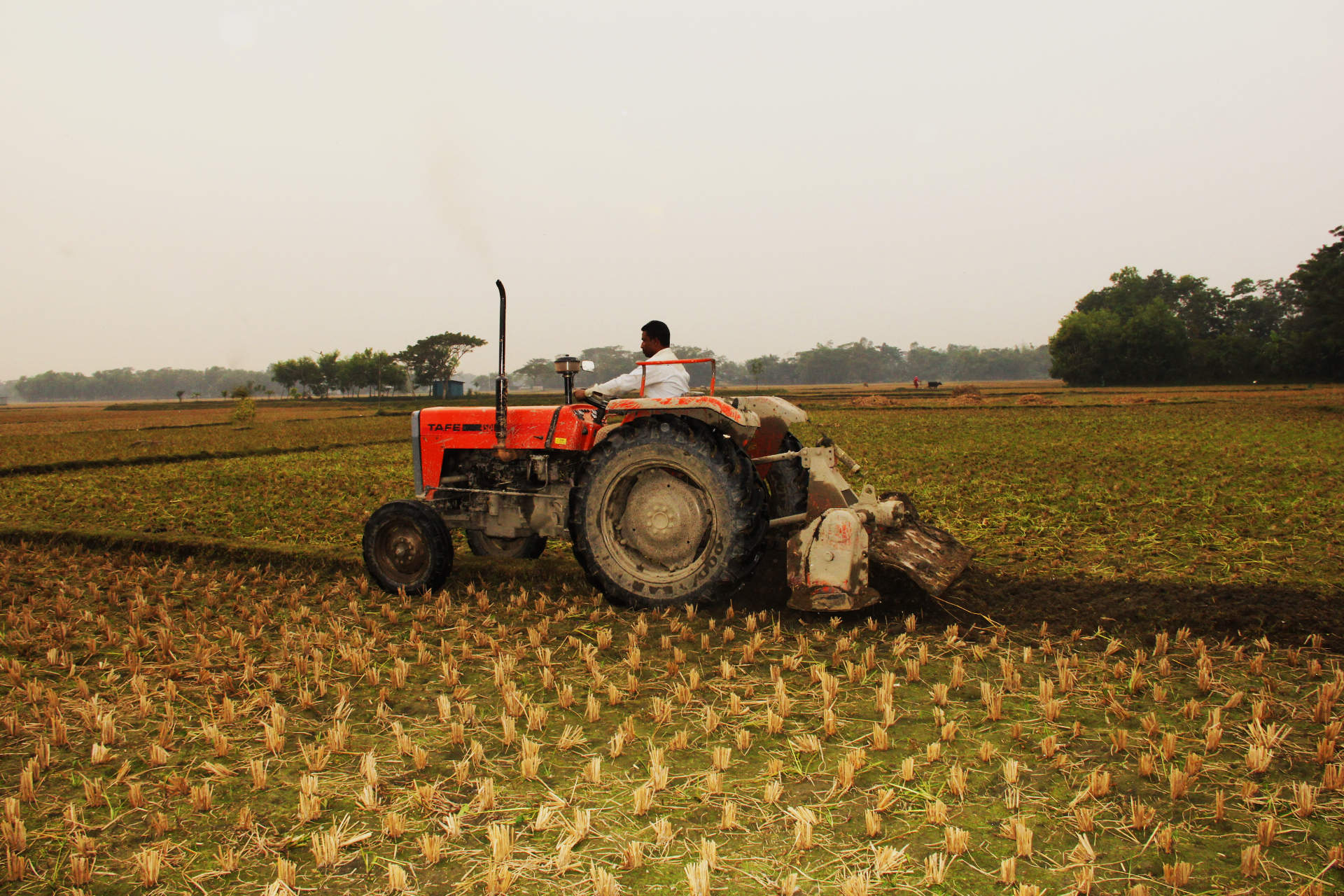 বাংলাদেশ পল্লী উন্নয়ন একাডেমি (বার্ড) কর্তৃক বাস্তবায়নাধীন কৃষি যান্ত্রিকীকরণ ও যৌথ খামার ব্যবস্থাপনা শীর্ষক প্রকল্পের অংশ হিসেবে ধান চাষাবাদের জন্য জ‌মির আইল উ‌ঠিয়ে জ‌মি চাষের দৃশ্য।