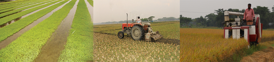 কৃষি যান্ত্রিকীকরণ