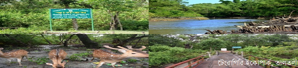 টেংরাগিরি ইকোপার্ক ,তালতলী